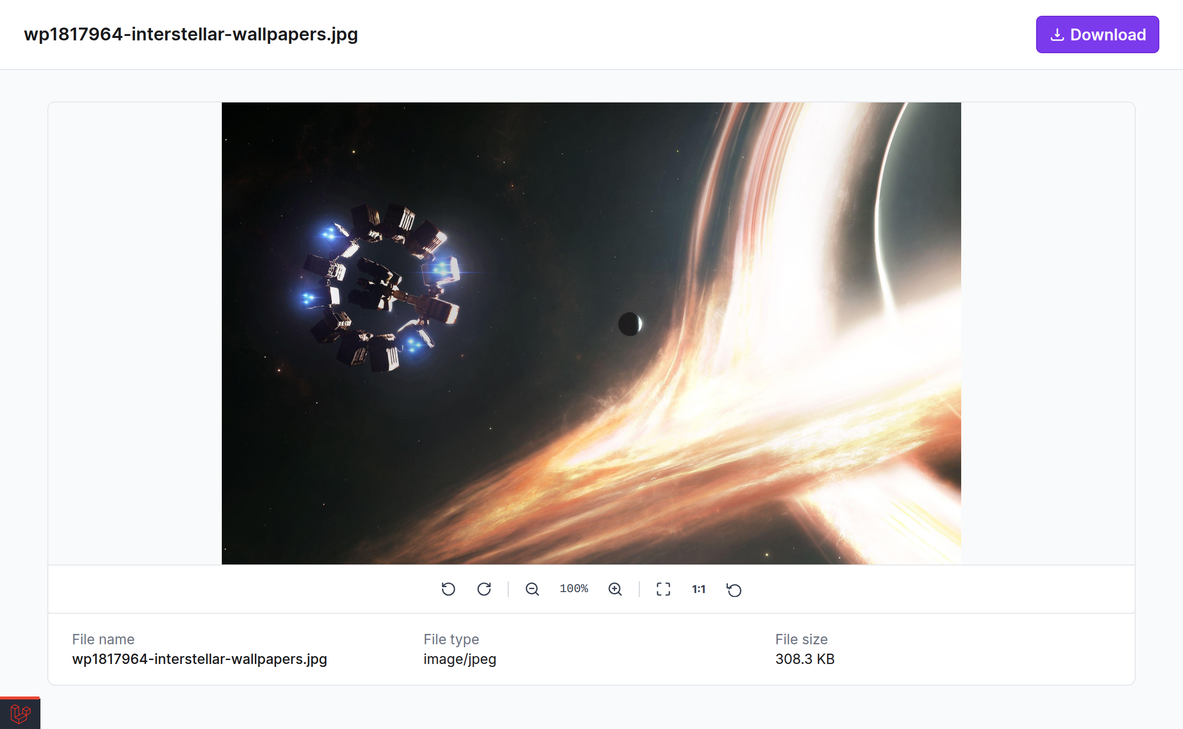 Public share page for a single asset, showing the image viewer and download button
