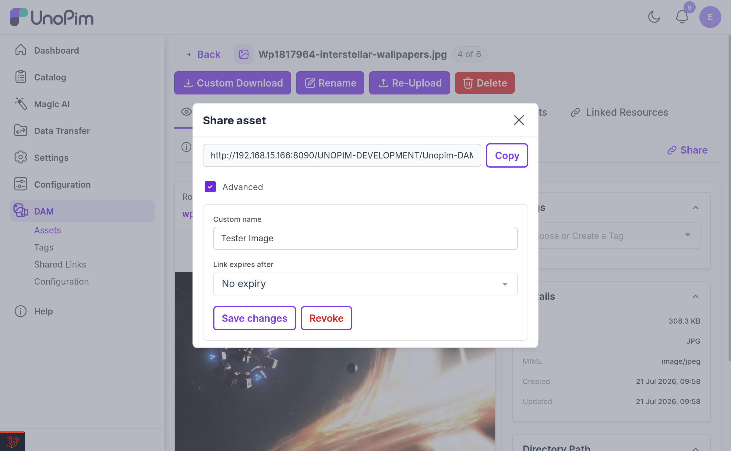 Share link modal showing the custom name field, expiry dropdown, No expiry switch, and the list of active links